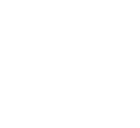 Page Title icon